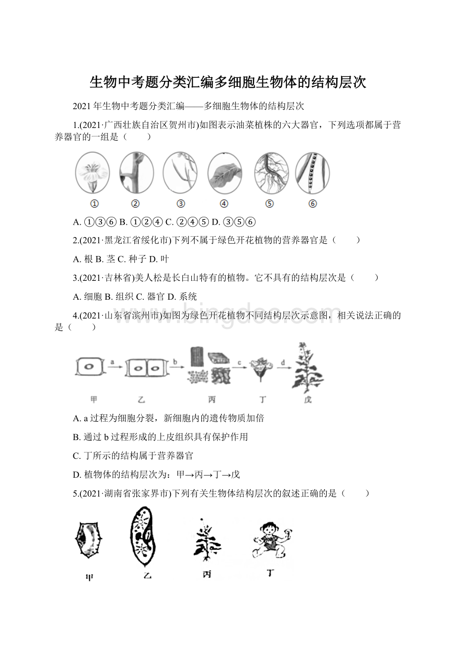 生物中考题分类汇编多细胞生物体的结构层次Word格式.docx