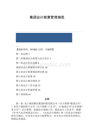 集团会计核算管理规范Word下载.docx