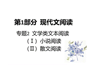 高考语文A版一轮复习课件专题文学类文本阅读小说阅读共张PPT.ppt