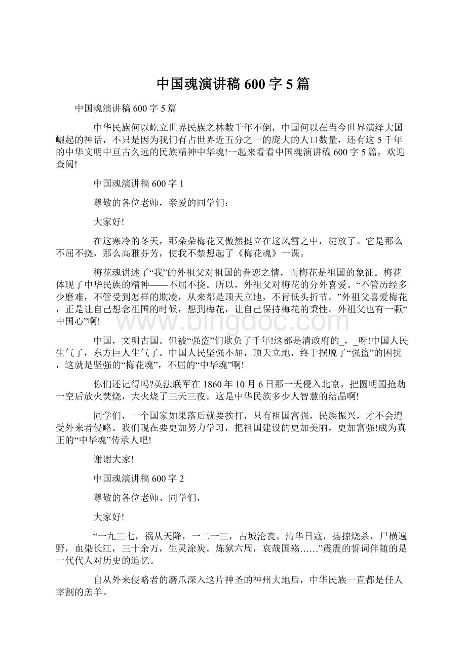 中国魂演讲稿600字5篇文档格式.docx