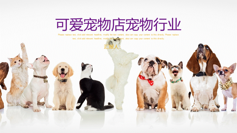可爱宠物店宠物行业PPT文档格式.pptx
