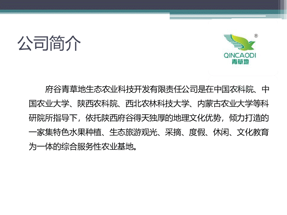 青草地营销策略.ppt_第2页