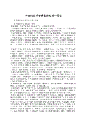 老舍骆驼祥子获奖读后感一等奖文档格式.docx