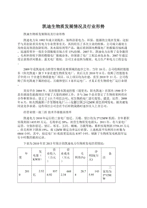 凯迪生物质发展情况及行业形势Word下载.docx