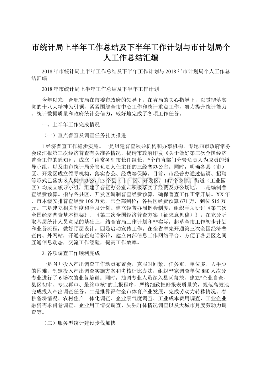 市统计局上半年工作总结及下半年工作计划与市计划局个人工作总结汇编文档格式.docx