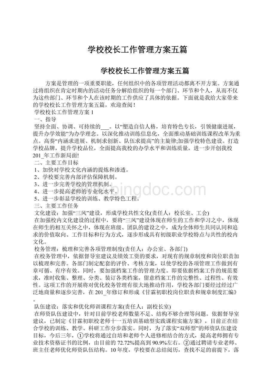 学校校长工作管理方案五篇Word文档格式.docx