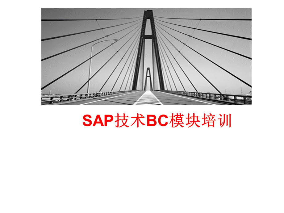 SAP技术培训资料.ppt