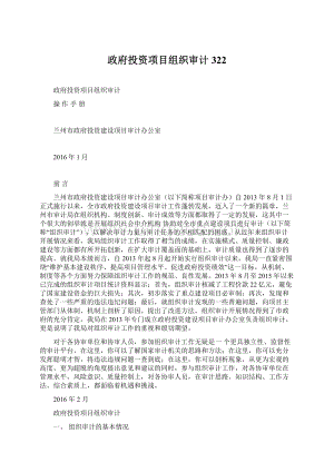 政府投资项目组织审计322.docx