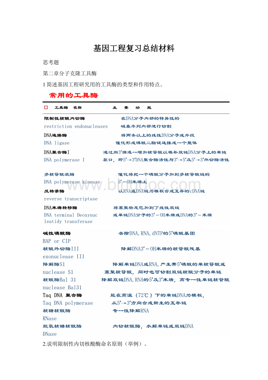 基因工程复习总结材料Word格式文档下载.docx_第1页