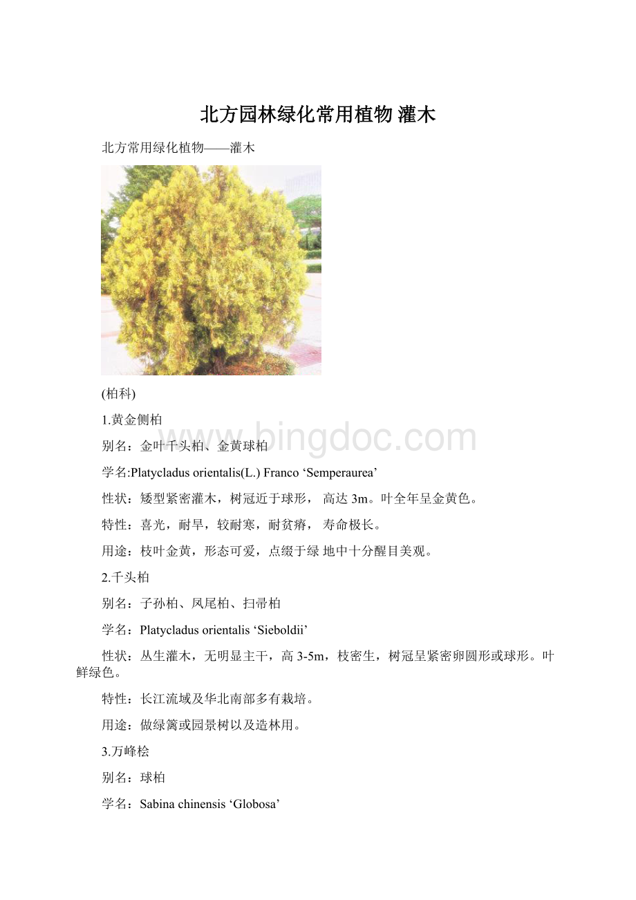 北方园林绿化常用植物 灌木.docx