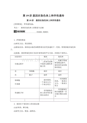 第19讲 基因在染色体上和伴性遗传Word文档格式.docx