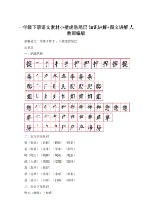 一年级下册语文素材小壁虎借尾巴知识讲解+图文讲解 人教部编版Word文件下载.docx