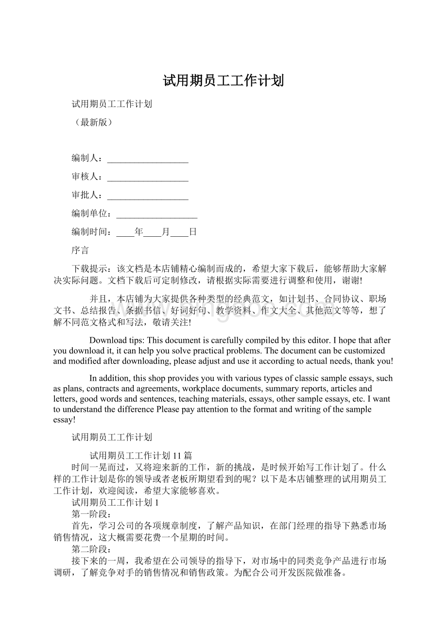 试用期员工工作计划Word文档格式.docx_第1页