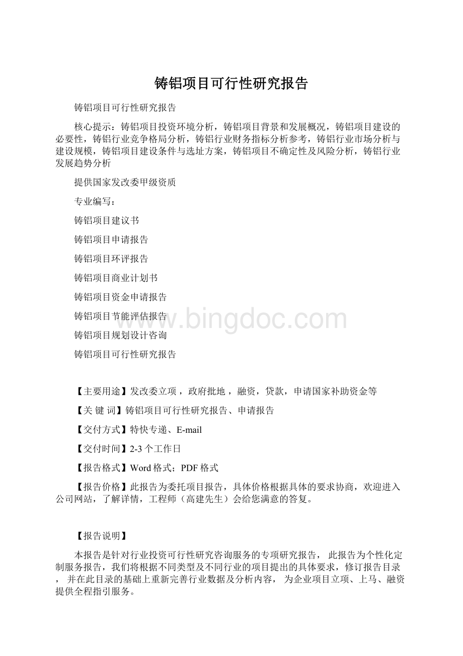 铸铝项目可行性研究报告Word格式.docx_第1页