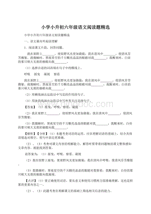 小学小升初六年级语文阅读题精选.docx