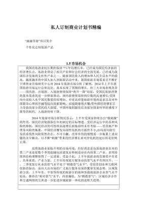 私人订制商业计划书精编文档格式.docx