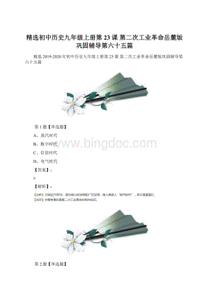 精选初中历史九年级上册第23课 第二次工业革命岳麓版巩固辅导第六十五篇.docx