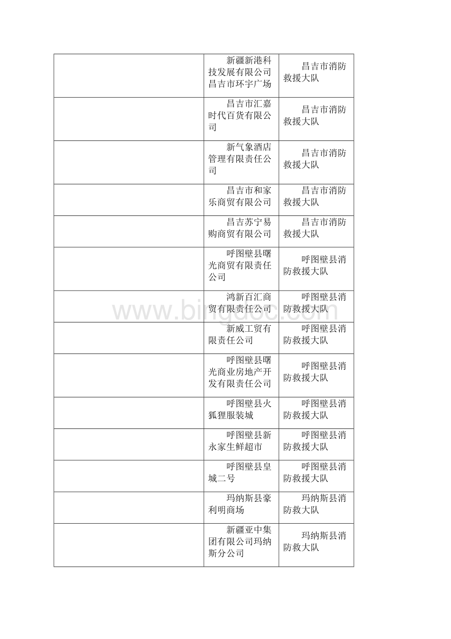 昌吉州消防安全重点单位台账.docx_第3页