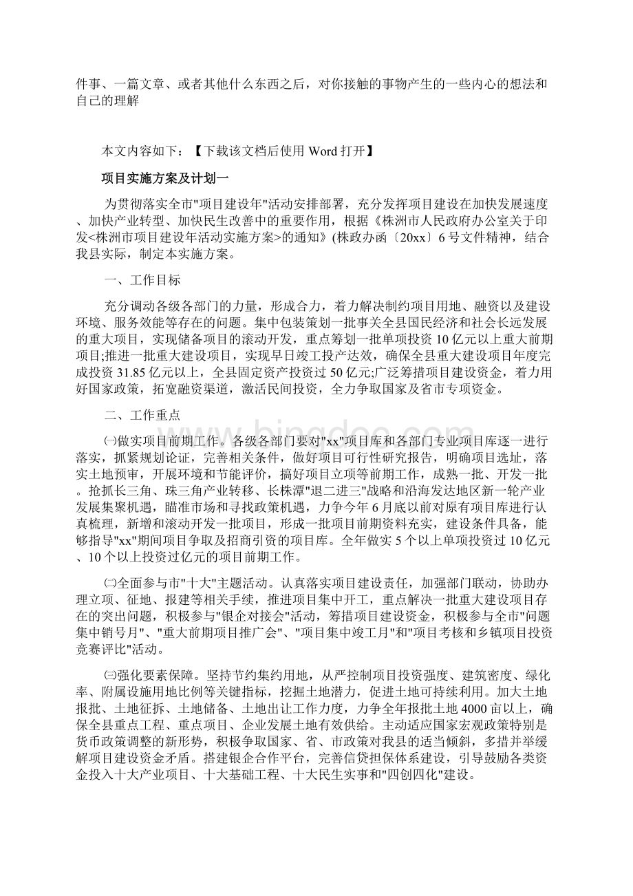 项目实施方案及计划文档.docx_第2页