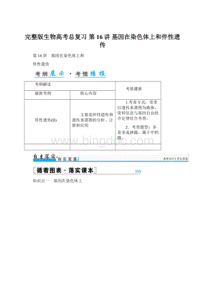 完整版生物高考总复习 第16讲 基因在染色体上和伴性遗传Word格式文档下载.docx