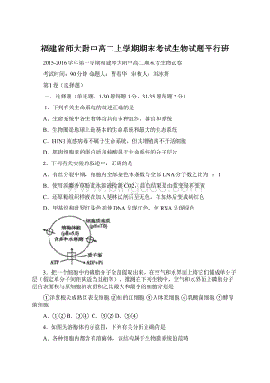 福建省师大附中高二上学期期末考试生物试题平行班.docx