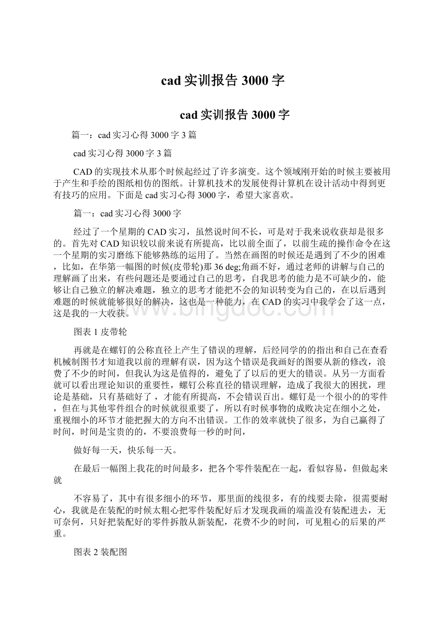 cad实训报告3000字Word下载.docx_第1页