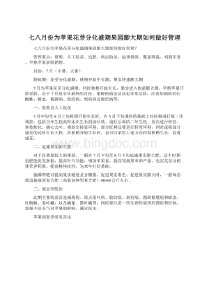 七八月份为苹果花芽分化盛期果园膨大期如何做好管理Word文档下载推荐.docx