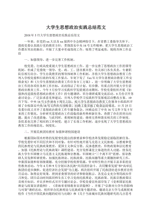 大学生思想政治实践总结范文.docx