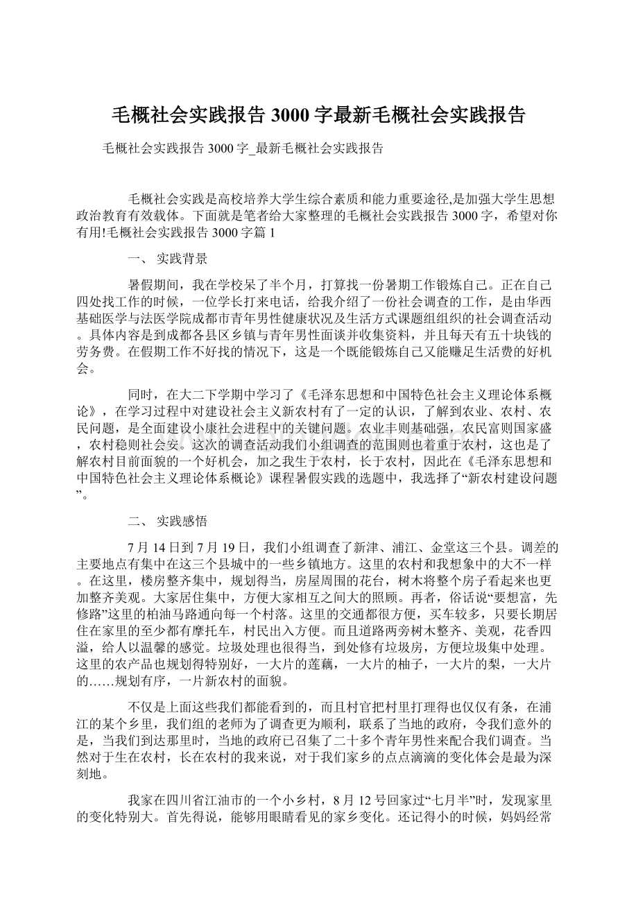 毛概社会实践报告3000字最新毛概社会实践报告文档格式.docx