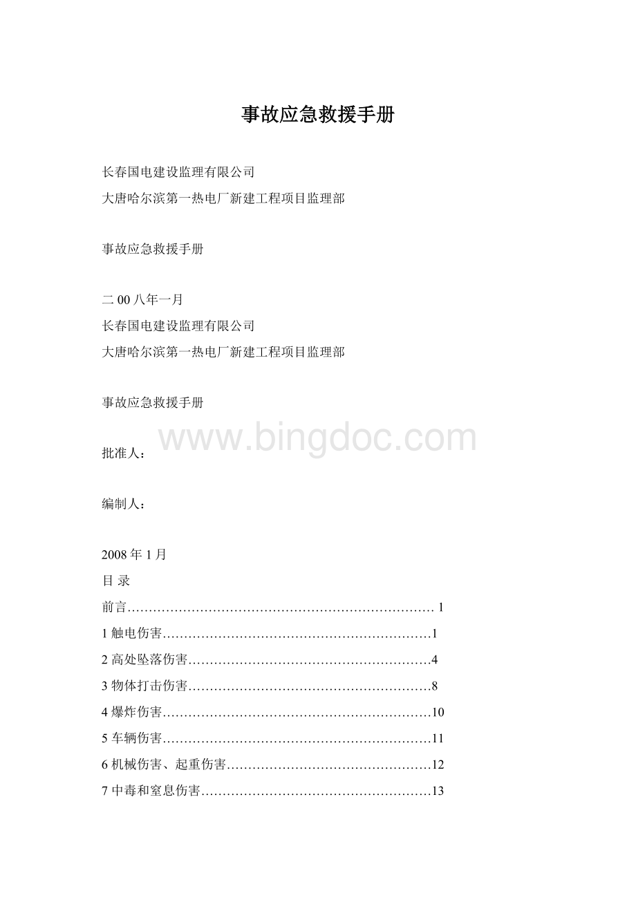 事故应急救援手册文档格式.docx_第1页