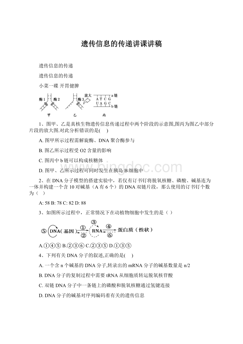 遗传信息的传递讲课讲稿.docx_第1页