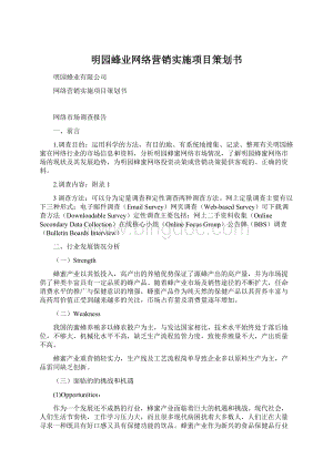 明园蜂业网络营销实施项目策划书Word文档格式.docx