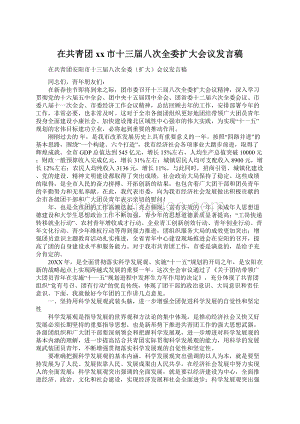 在共青团xx市十三届八次全委扩大会议发言稿Word文档下载推荐.docx