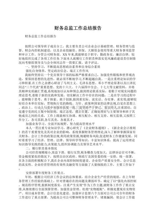 财务总监工作总结报告.docx