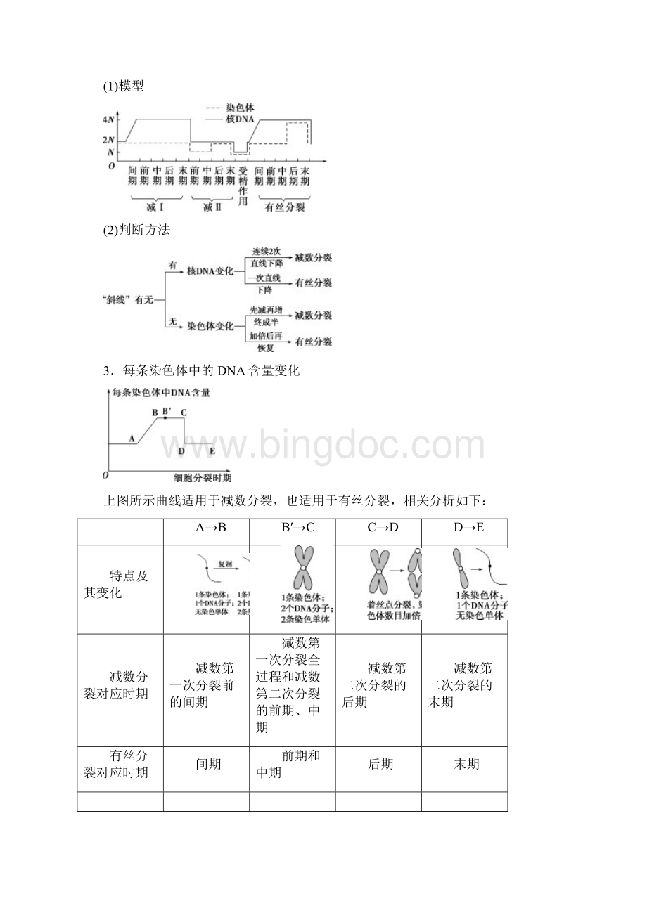 高中生物减数分裂与有丝分裂可遗传变异DNA复制的关系Word下载.docx_第2页