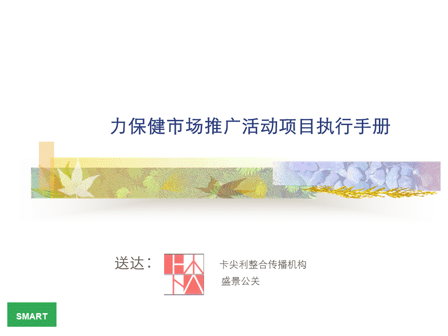 力保健市场推广活动项目手册.ppt