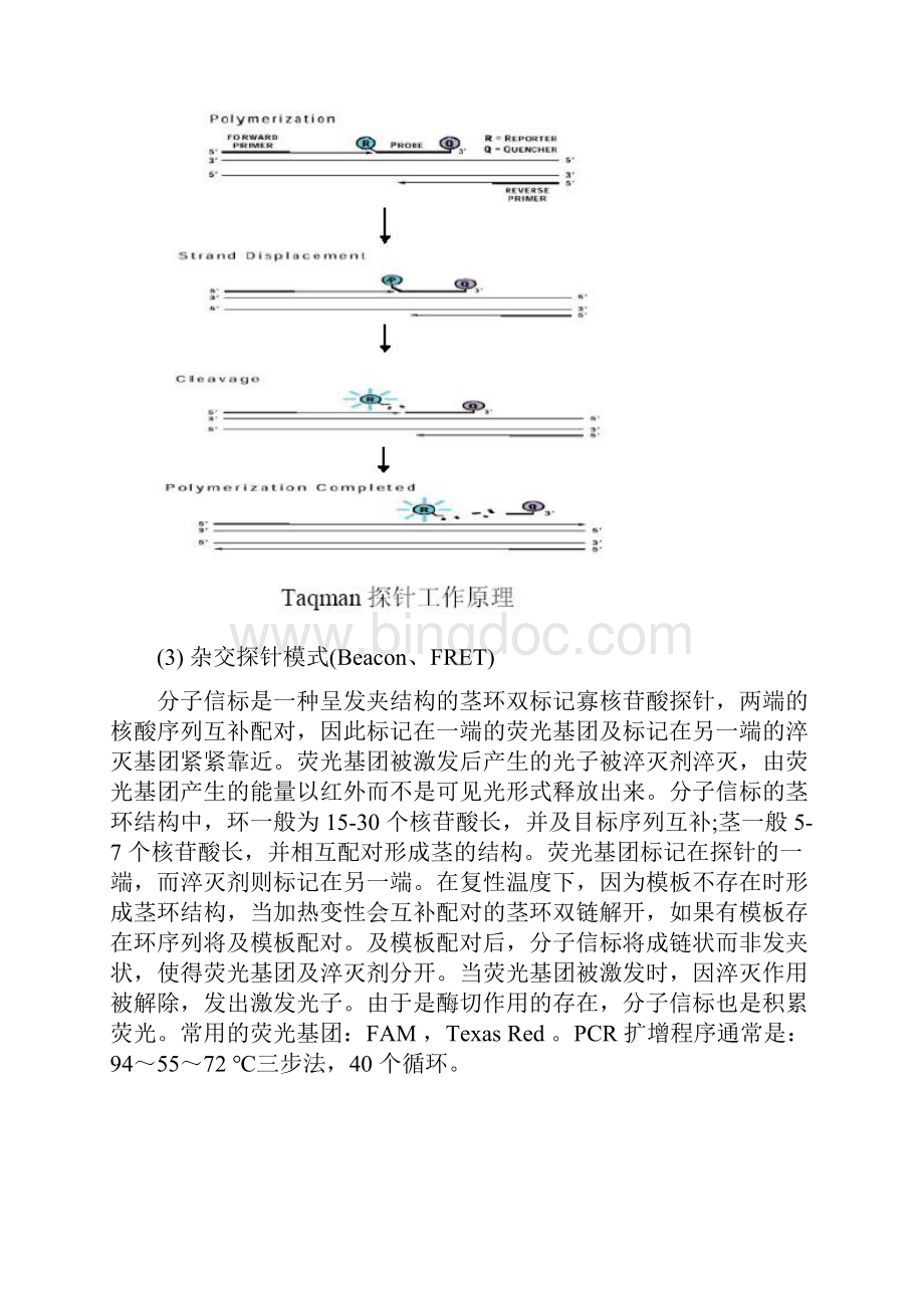 三种荧光定量PCR检测方法比较.docx_第3页