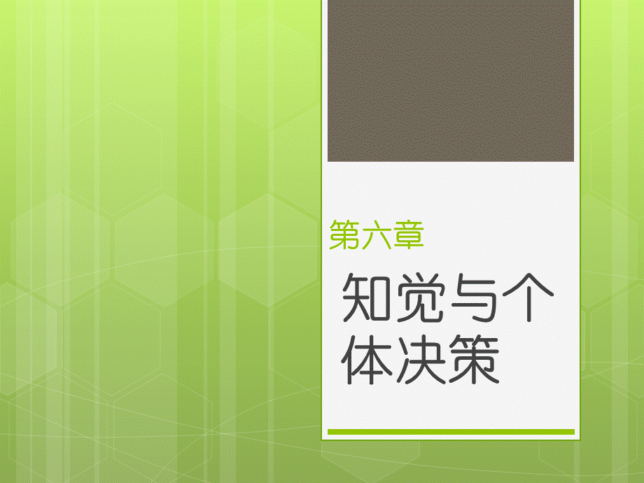 知觉与个体决策.pptx