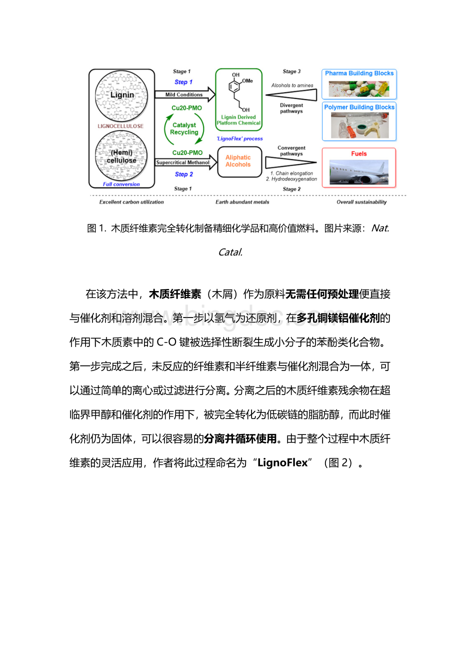 Nature Catalysis：木质纤维素的完全催化转化制备精细化学品和燃料.docx_第2页