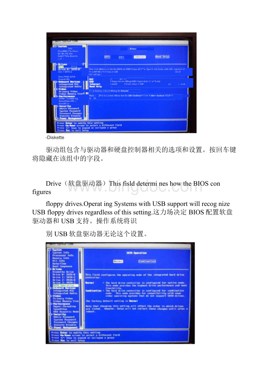 戴尔DellSystem5100BIOS设置中英对比翻译.docx_第3页