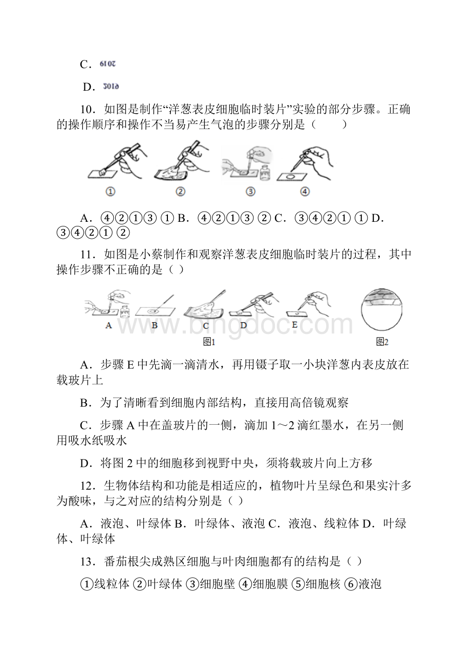 河南省三门峡灵宝市学年七年级上学期期中生物试题.docx_第3页
