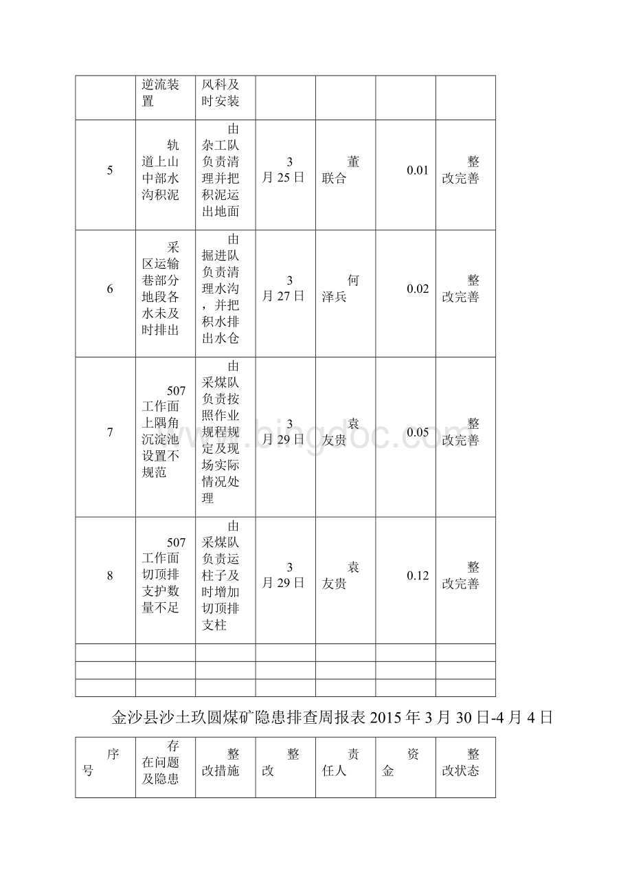 隐患排查周排报表.docx_第3页