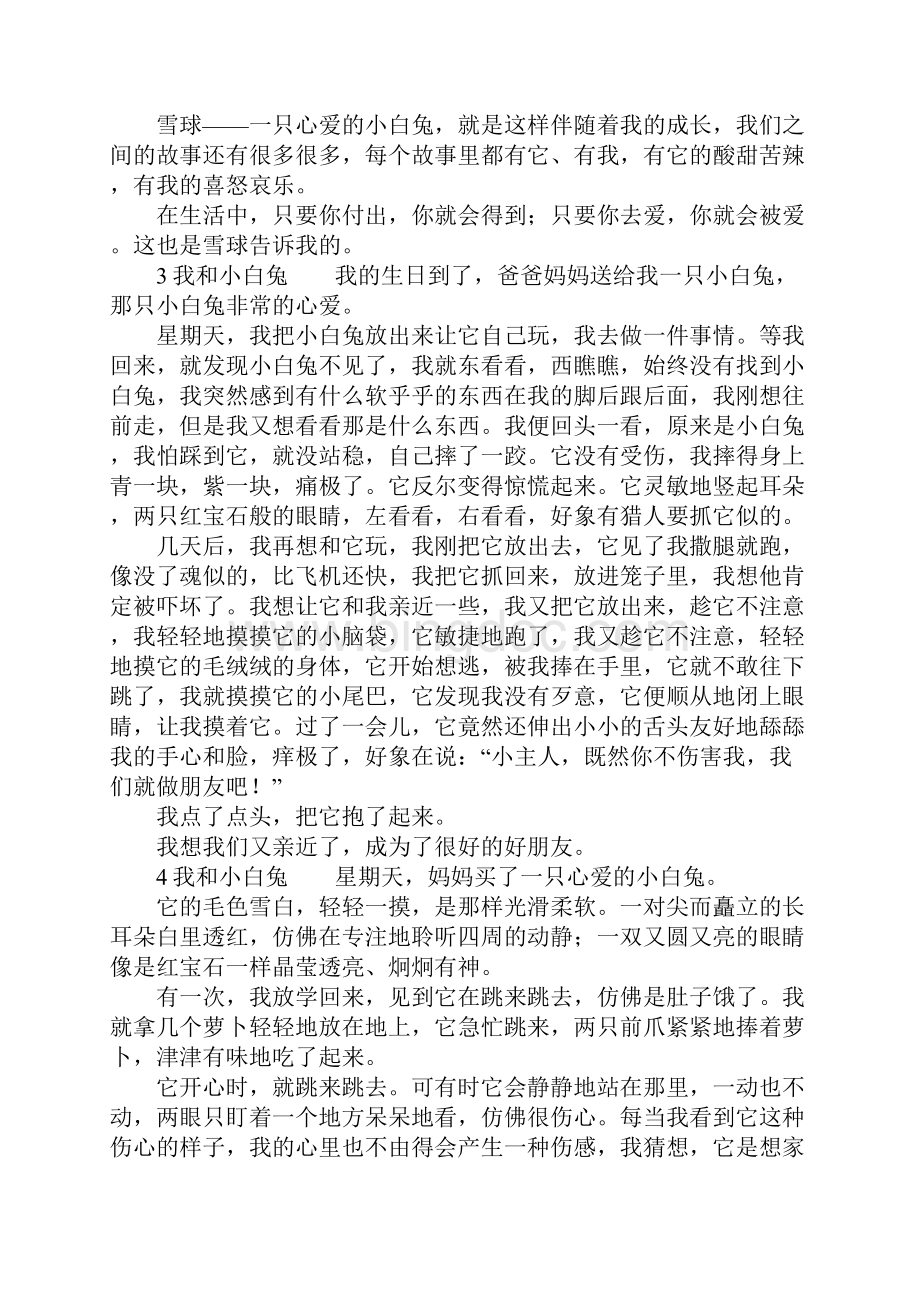 我和小白兔精选作文范文格式.docx_第3页