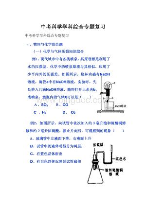 中考科学学科综合专题复习.docx