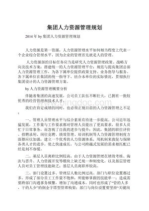 集团人力资源管理规划.docx