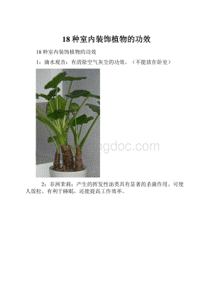 18种室内装饰植物的功效.docx