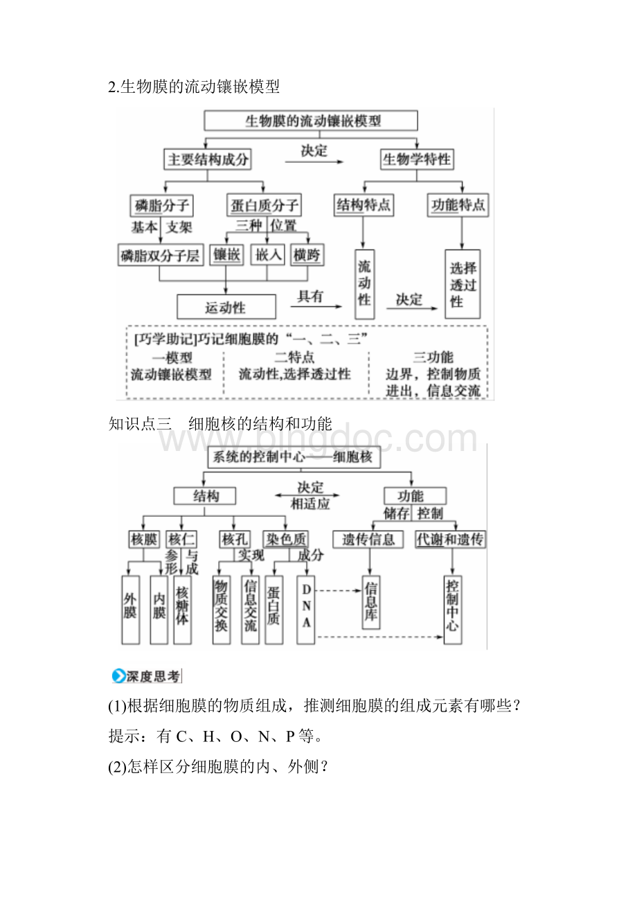 高考生物通用版一轮复习习题第2单元 第5讲 细胞的基本结构和物质运输功能 细胞膜与细胞核.docx_第3页