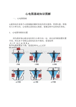 心电图基础知识图解.docx