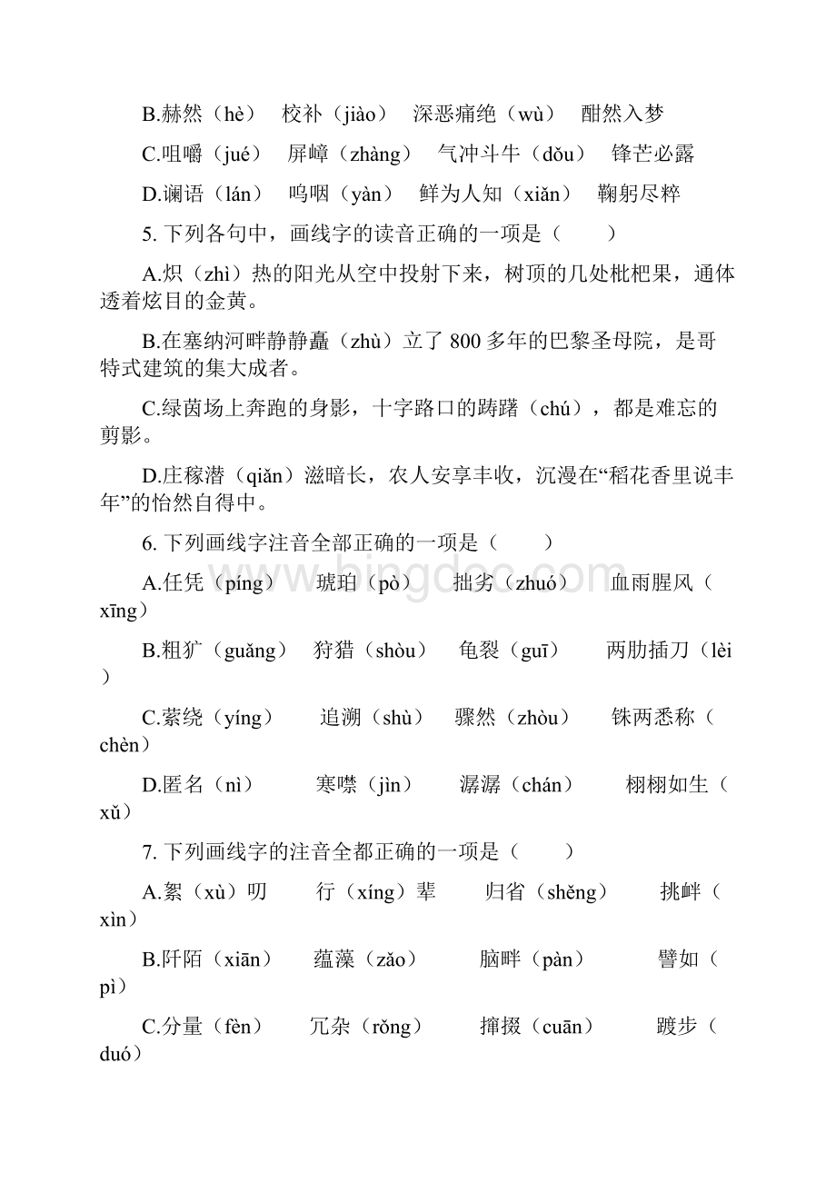 中考语文二轮专题训练字音.docx_第2页