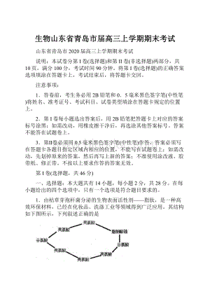 生物山东省青岛市届高三上学期期末考试.docx